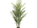 Δεντρο Φοινικας Palm Πρασινο Γλαστρα Υ175cm