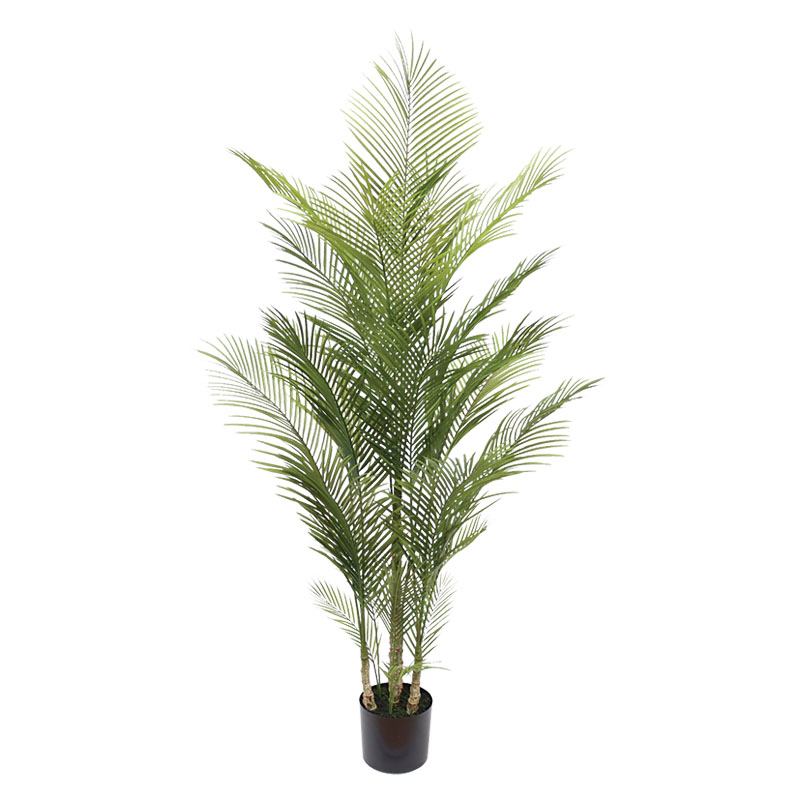 Δεντρο Φοινικας Palm Πρασινο Γλαστρα Υ175cm